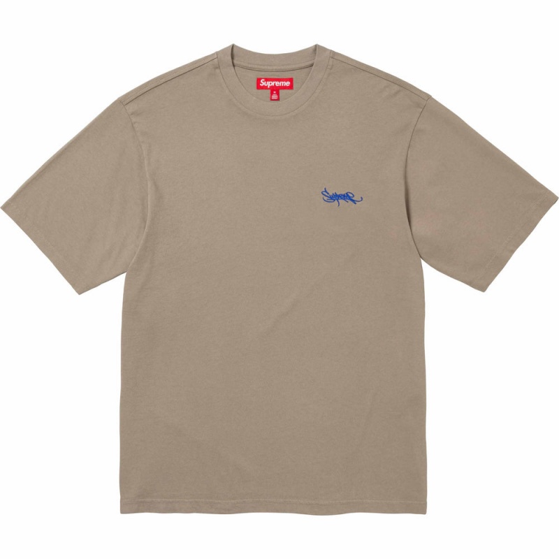 Supreme Washed Tag S/S Top Tシャツ 暗ブラウン | JP-912658
